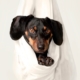 Cute black dog wrapped in a white sheet