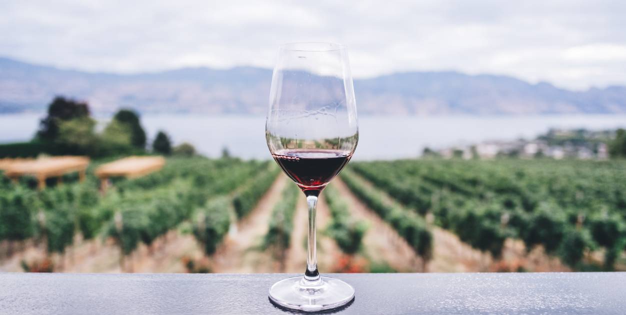 Glass of wine overlooking a vineyard